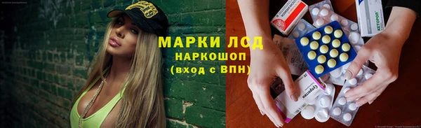 мяу мяу мука Белокуриха