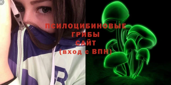 гидра Семикаракорск