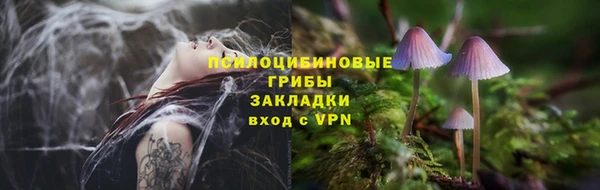 мяу мяу мука Белокуриха