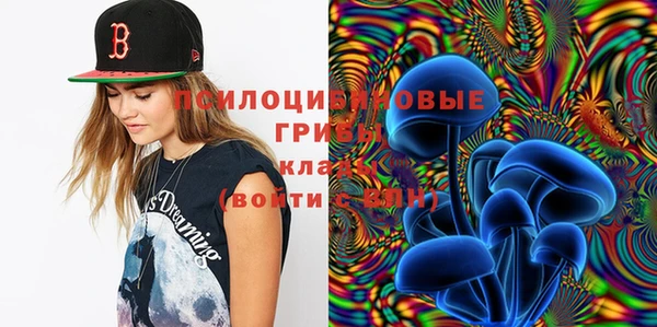 мяу мяу мука Белокуриха