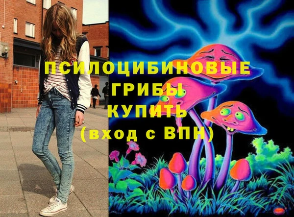 гидропоника Белоозёрский