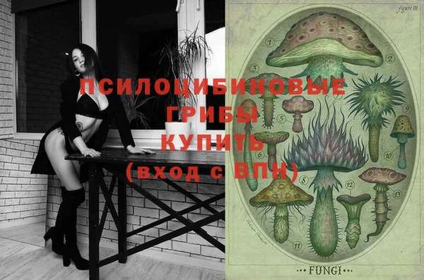 мяу мяу мука Белокуриха