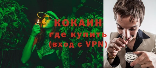 мяу мяу мука Белокуриха