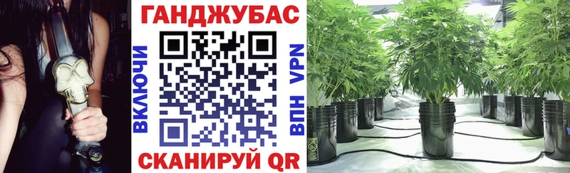 Бошки марихуана Amnesia  blacksprut ТОР  Володарск  закладки 
